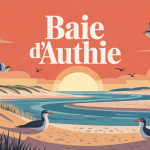 baie d'authie dunes sable estuaire phoques coucher de soleil