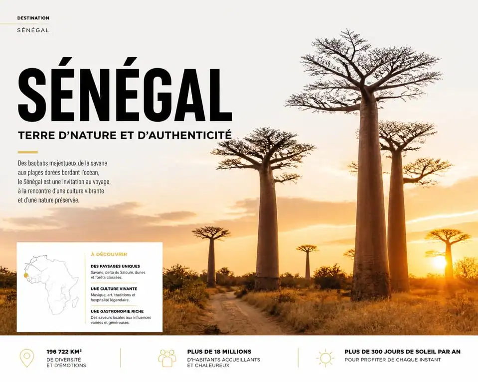 Paysage du Sénégal avec baobabs dans la savane au coucher du soleil