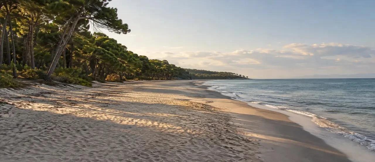 Plage d’Albanie proche de Tirana à Spille, sable, pinède et atmosphère tranquille